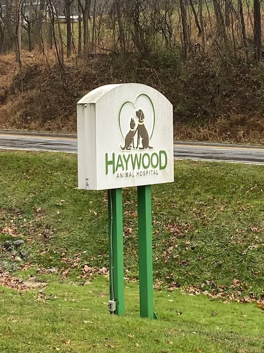Haywood Animal Hospital Picture 1