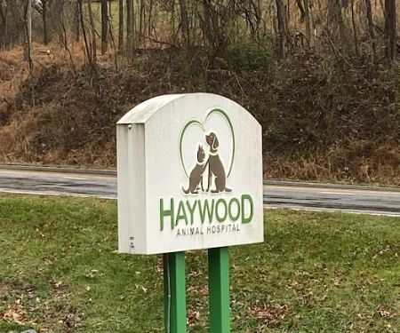 Haywood Animal Hospital
