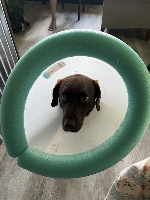 Haywood Animal Hospital Picture 6