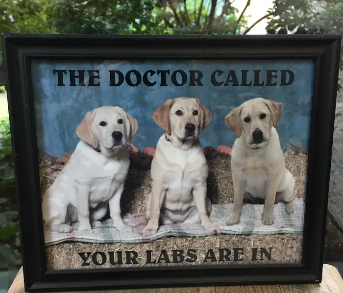 Haywood Animal Hospital Picture 5