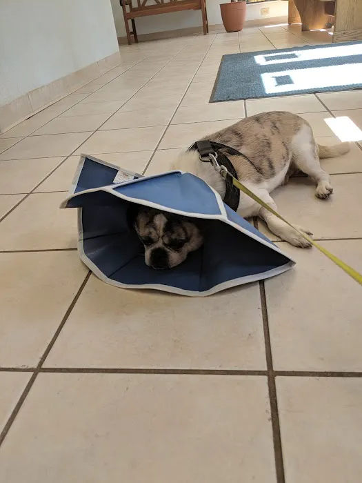 Haywood Animal Hospital Picture 9