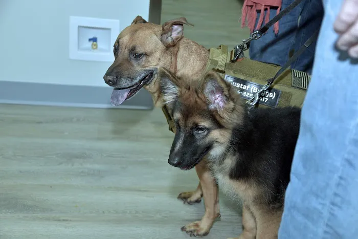 Sage Pet Hospital Picture 8