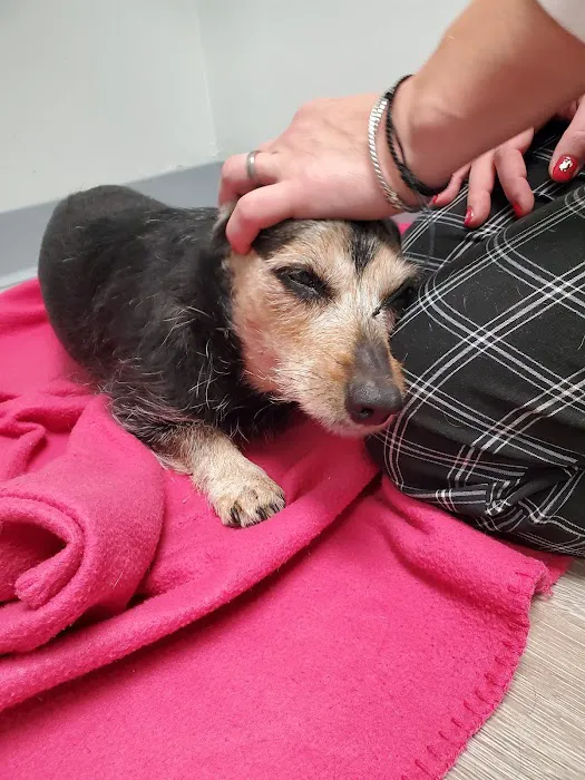 Sage Pet Hospital Picture 10