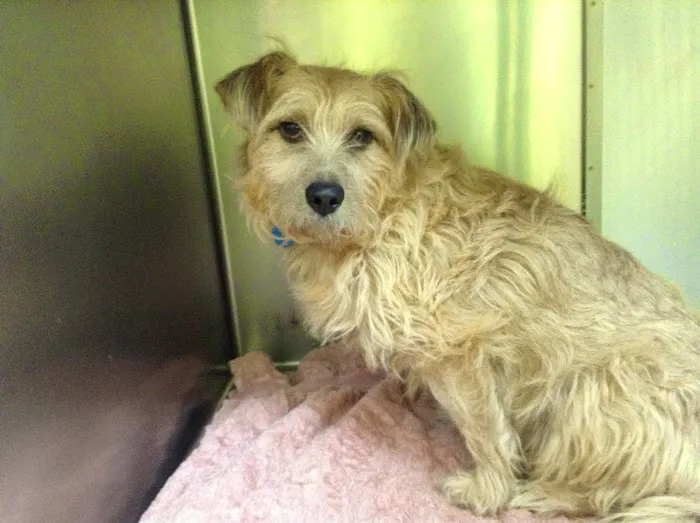 Health Care For Pets Hospital Picture 4
