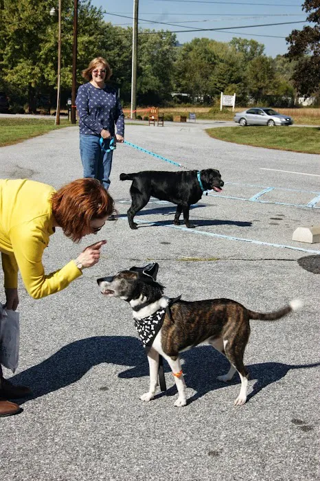 Health Care For Pets Hospital Picture 7