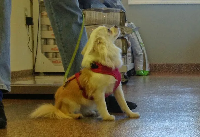 Health Care For Pets Hospital Picture 5
