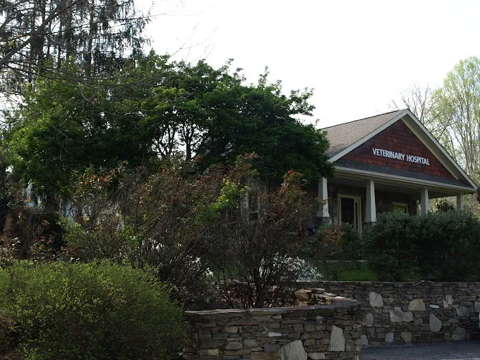 Vista Falls Veterinary Hospital Picture 9
