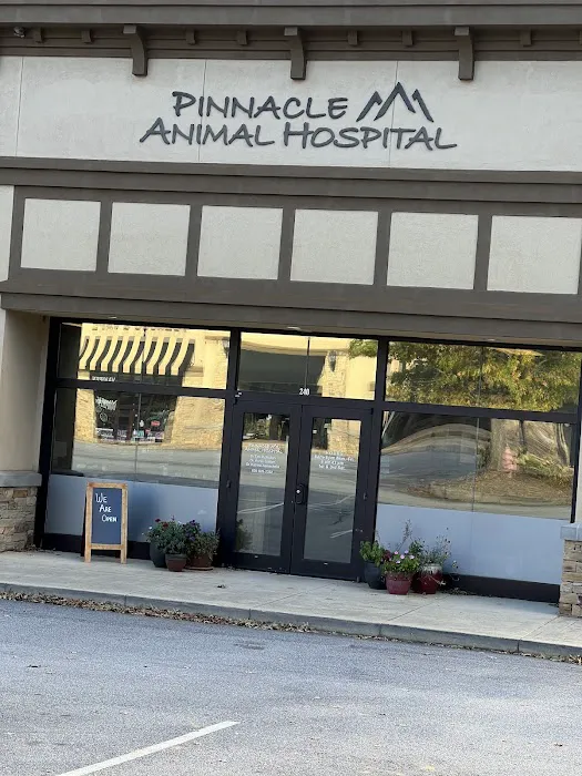 Pinnacle Animal Hospital Picture 3