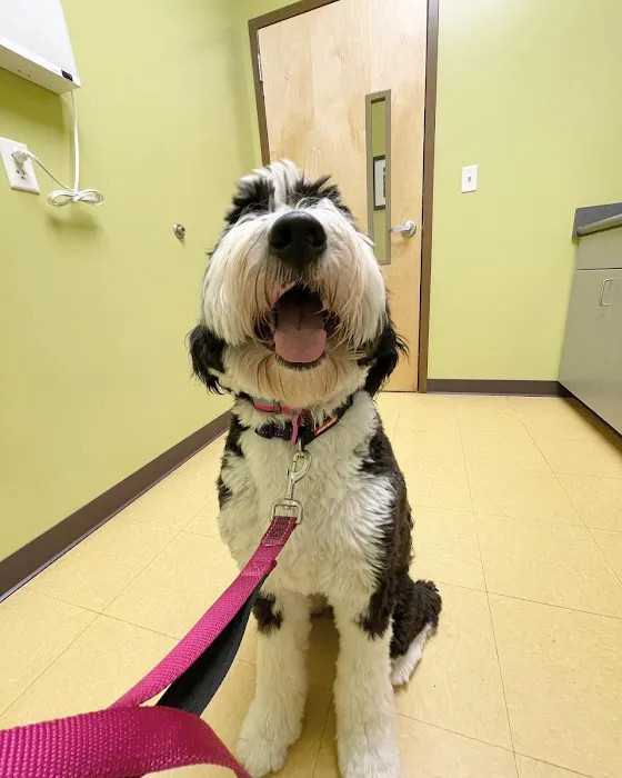 Pinnacle Animal Hospital Picture 1