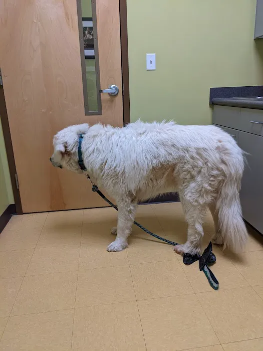 Pinnacle Animal Hospital Picture 9