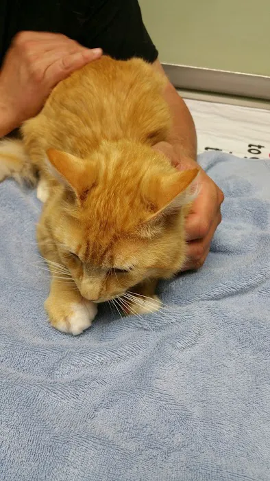 Avery Creek Pet Hospital Picture 6