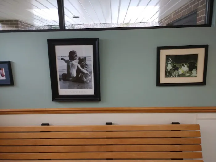 Laurel Park Animal Hospital Picture 7