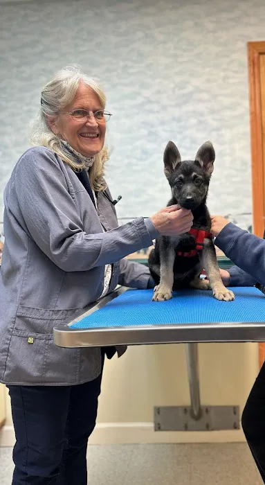 Mills River Animal Clinic Picture 3