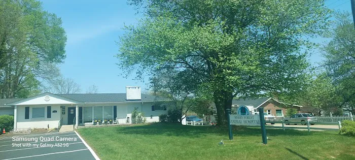 Merry Forest Animal Hospital Picture 1