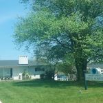 Merry Forest Animal Hospital