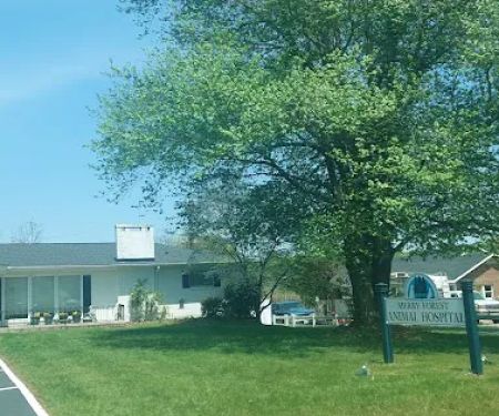 Merry Forest Animal Hospital