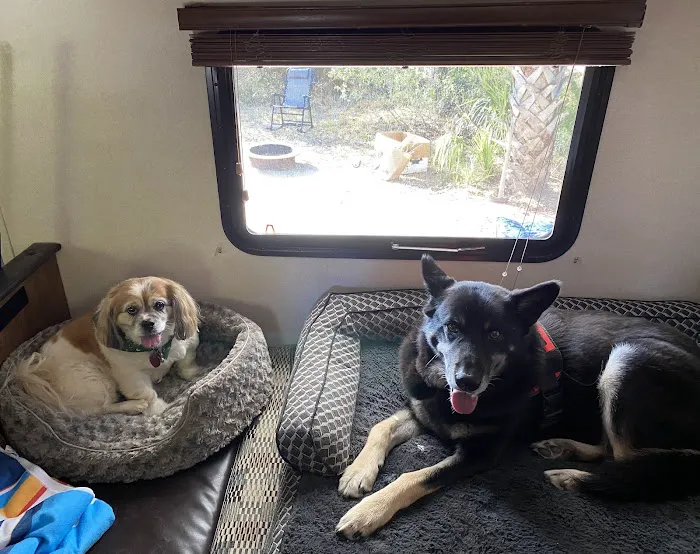 West Spartan Animal Hospital Picture 6