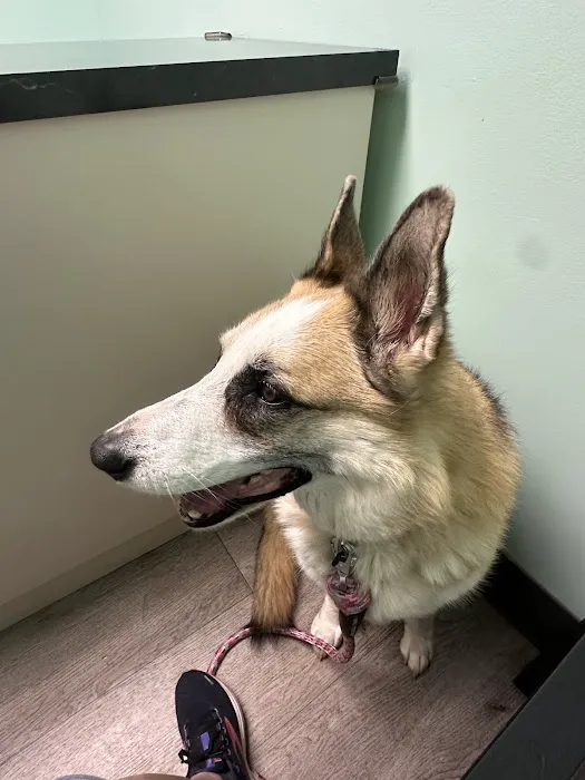 West Spartan Animal Hospital Picture 10