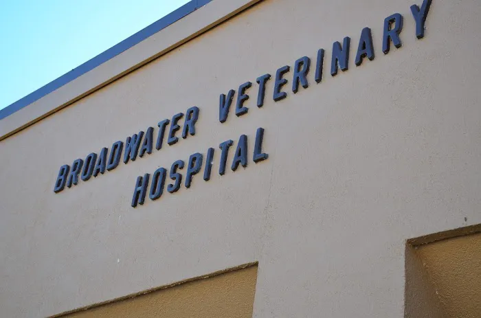 Broadwater Veterinary Hospital Picture 2