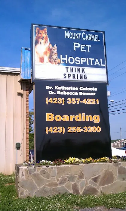 Mount Carmel Pet Hospital Picture 6