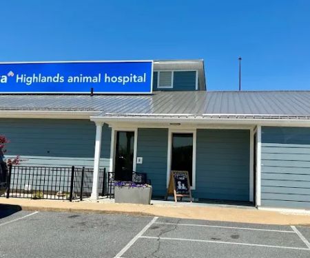 VCA Highlands Animal Hospital