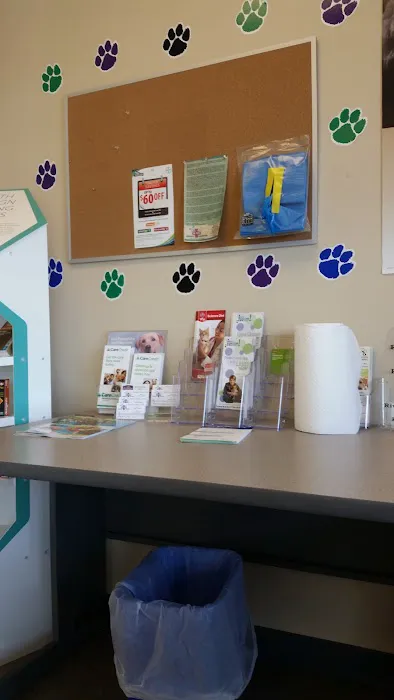 Vetcare for Pets Animal Hospital Picture 8