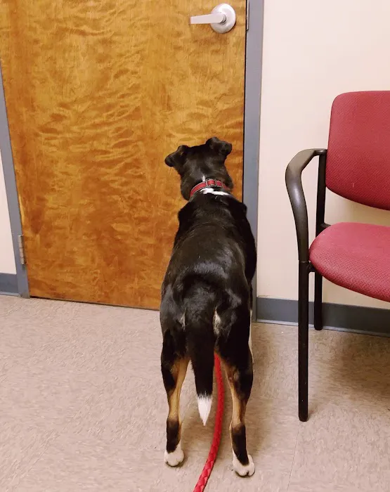 Vetcare for Pets Animal Hospital Picture 9