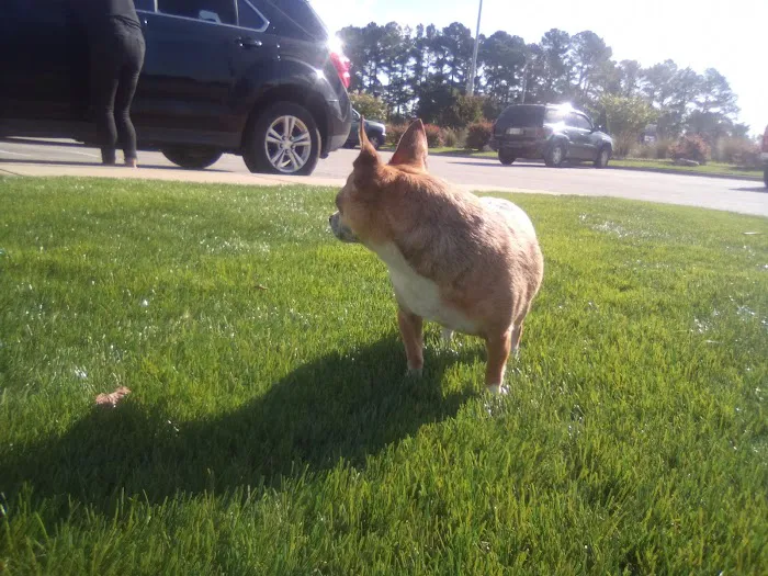 Dunn Animal Hospital PA Picture 3