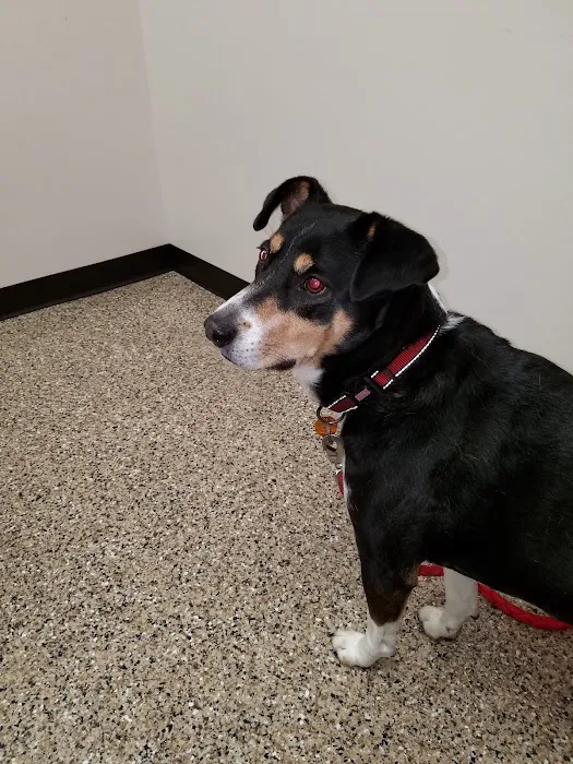 Dunn Animal Hospital PA Picture 1