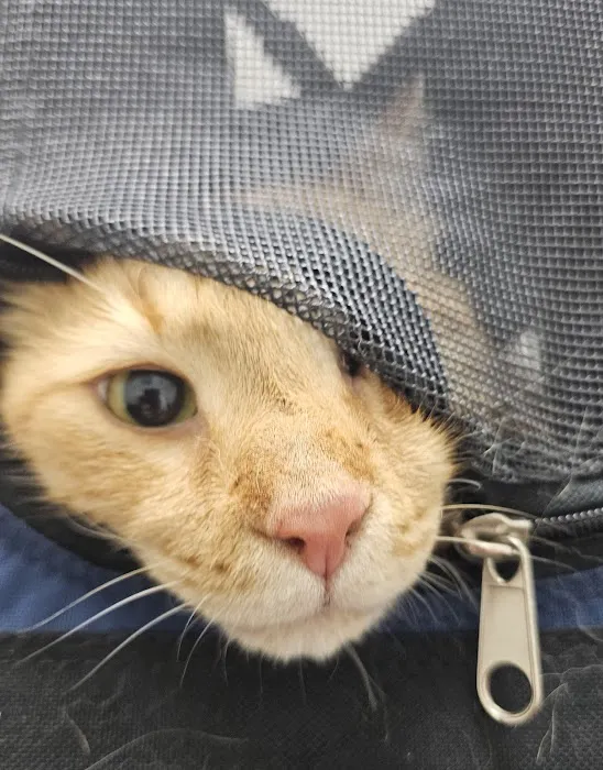 The Cottage Animal Clinic Picture 7
