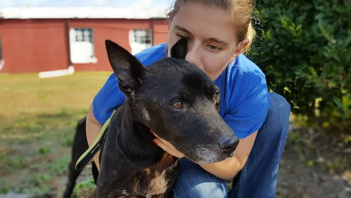 Countryside Animal Hospital Picture 2
