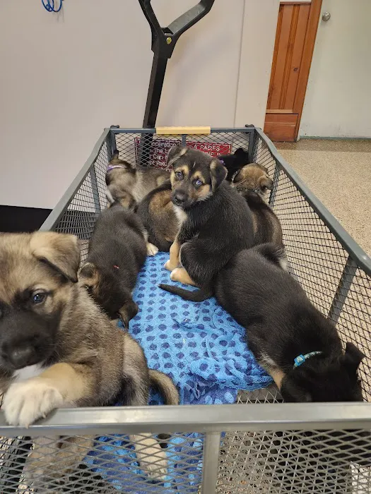 Countryside Animal Hospital Picture 8