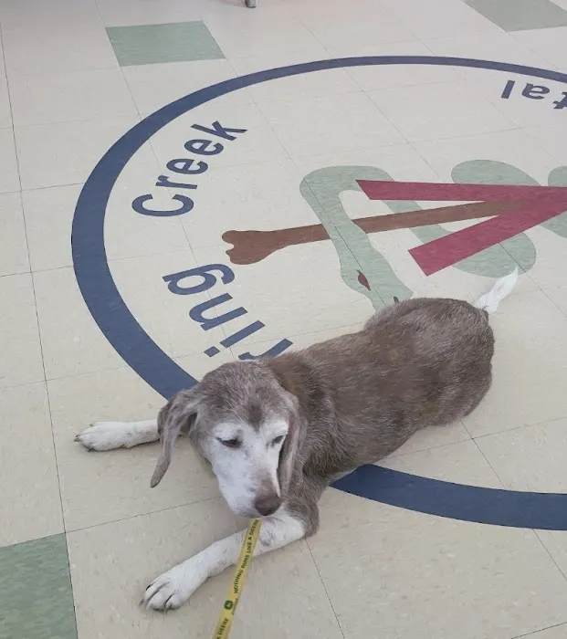 Spring Creek Animal Hospital Picture 5