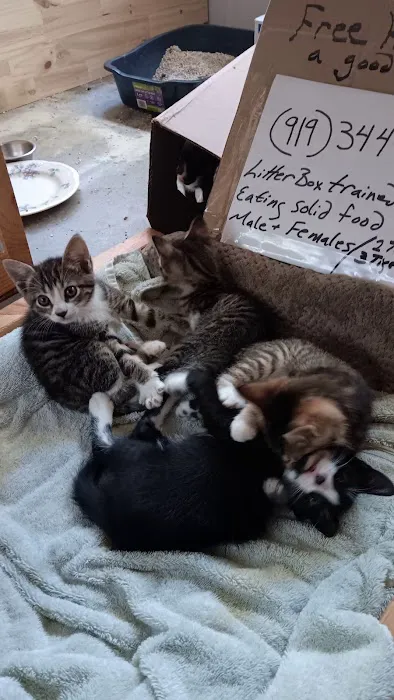 Spring Creek Animal Hospital Picture 4