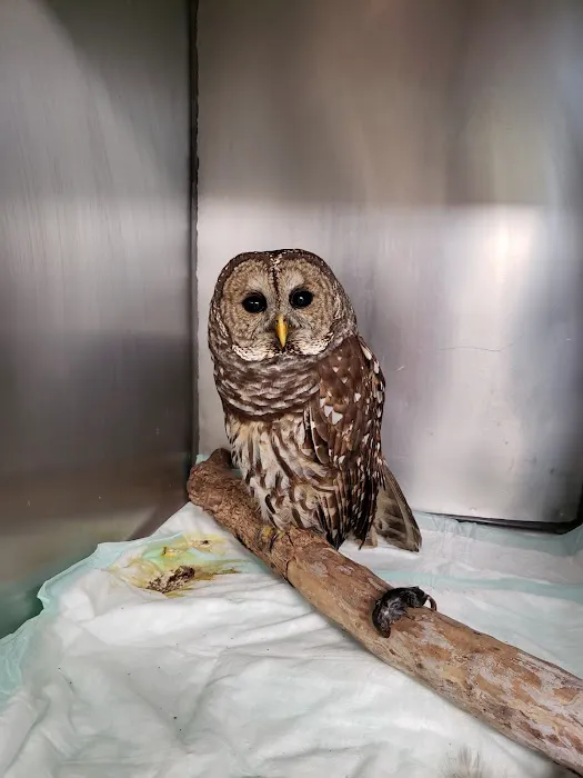 Animal Hospital-Lenoir County Picture 1