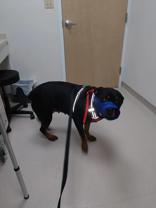 York Veterinary Hospital Picture 10