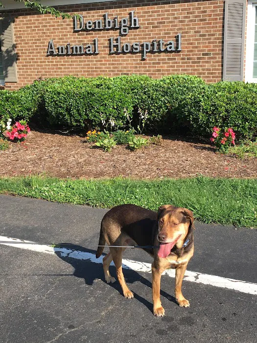 Denbigh Animal Hospital Picture 5