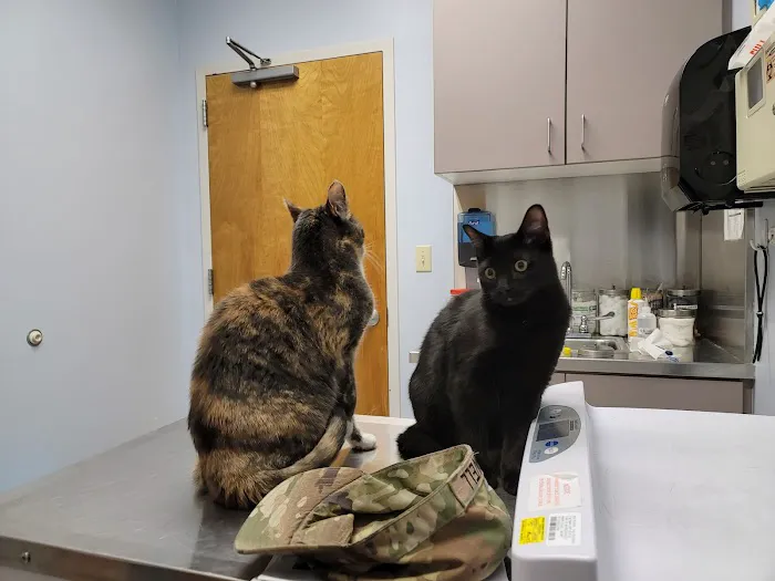 Fort Eustis Veterinary Treatment Facility Picture 1