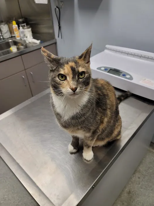 Fort Eustis Veterinary Treatment Facility Picture 3