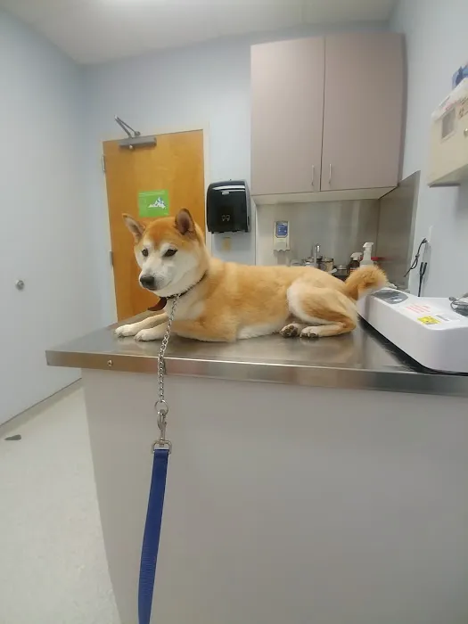 Fort Eustis Veterinary Treatment Facility Picture 9