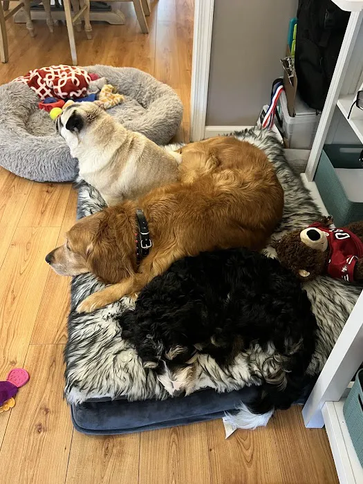 Salty Paws Veterinary Hospital Picture 5
