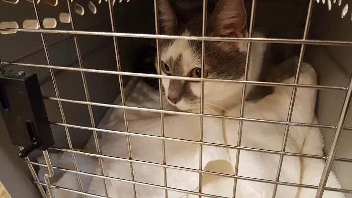 Salty Paws Veterinary Hospital Picture 1