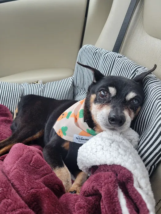 Salty Paws Veterinary Hospital Picture 3