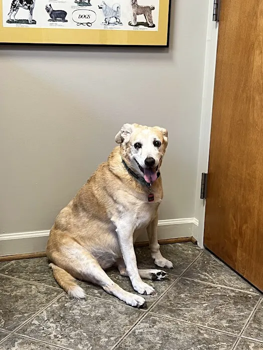 Salty Paws Veterinary Hospital Picture 8