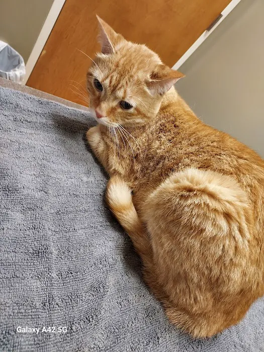 Salty Paws Veterinary Hospital Picture 4
