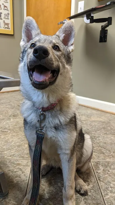 Salty Paws Veterinary Hospital Picture 6