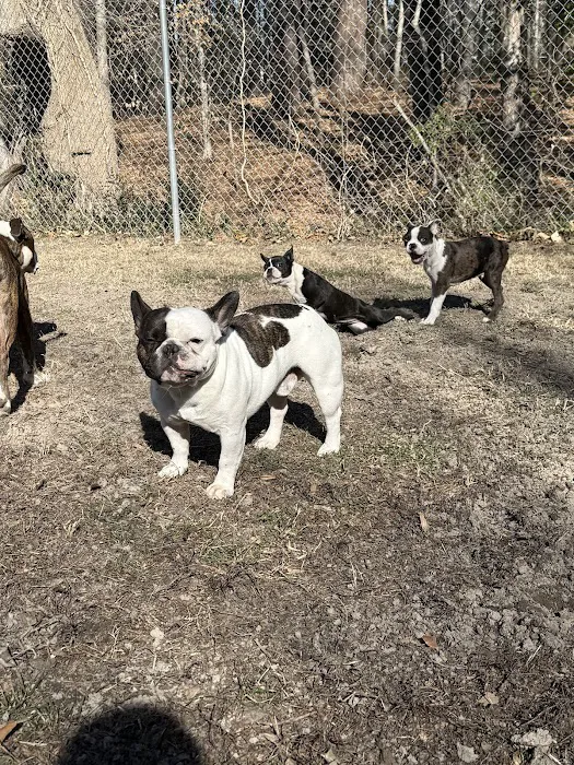 Salty Paws Veterinary Hospital Picture 7