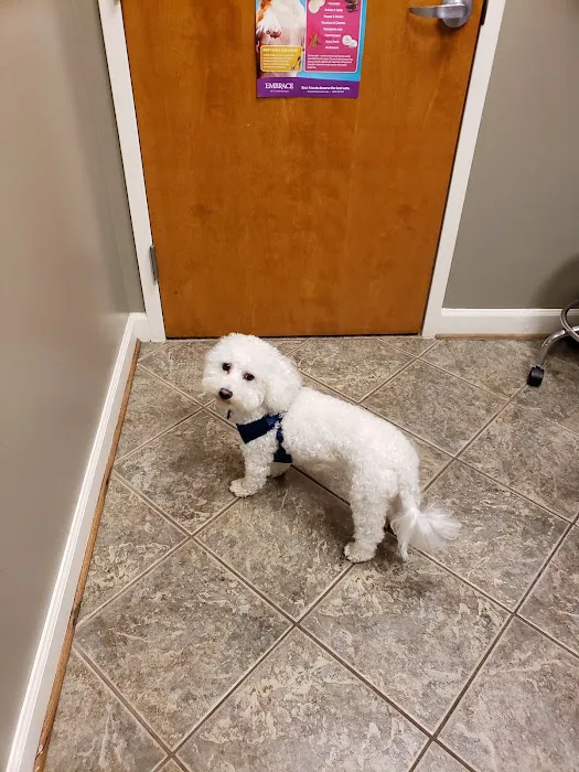 Salty Paws Veterinary Hospital Picture 9
