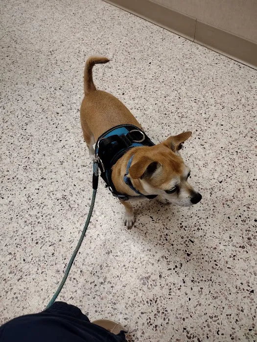 Colony Animal Hospital Picture 1