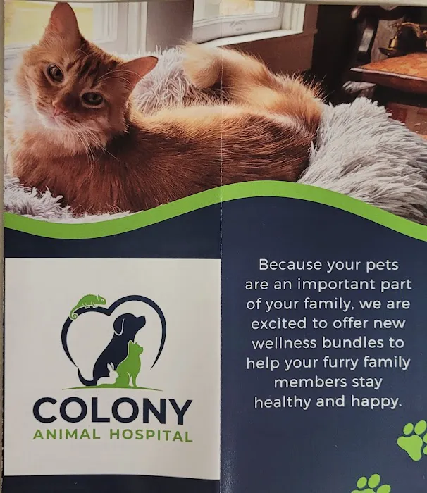 Colony Animal Hospital Picture 8